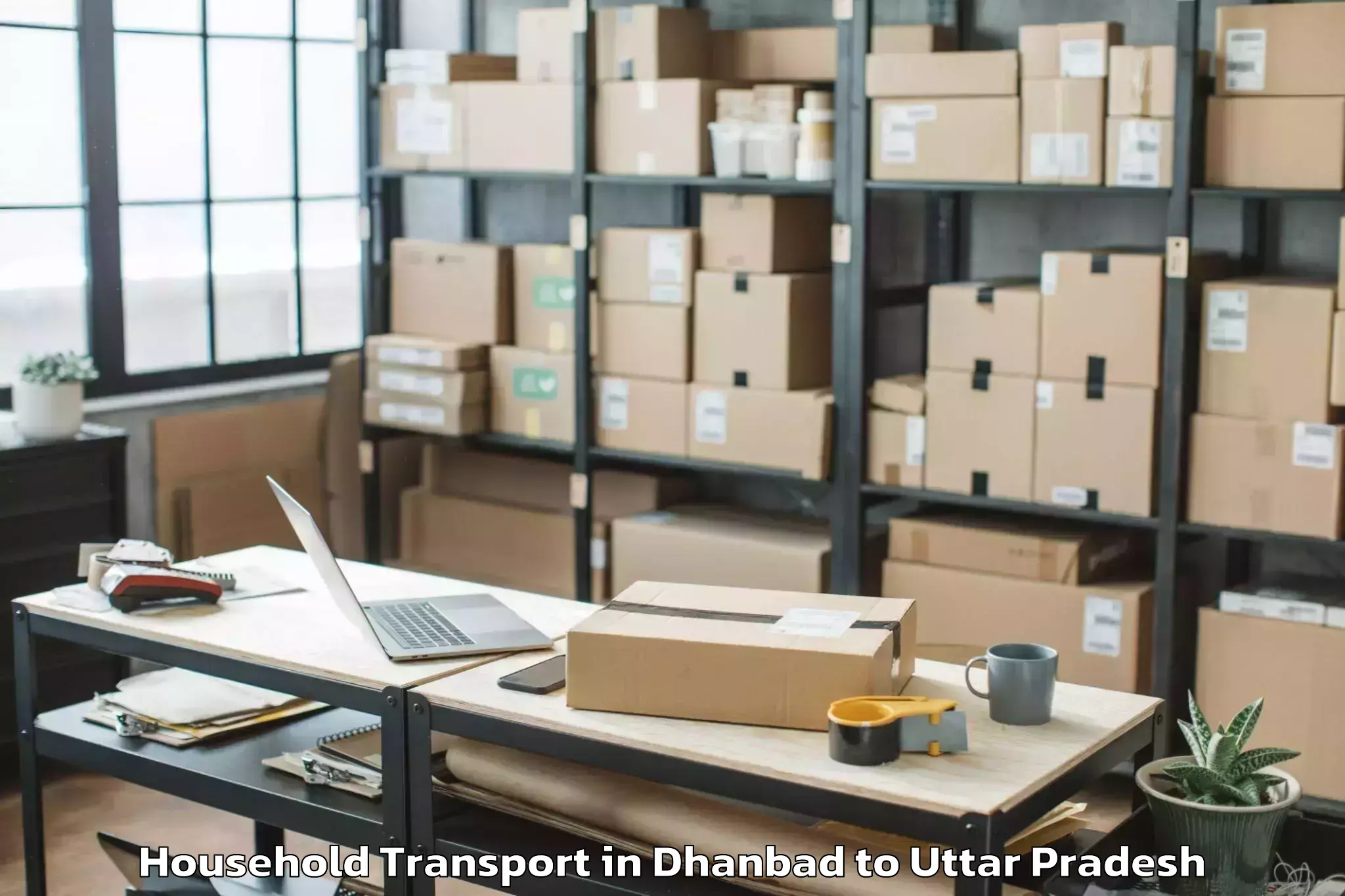 Trusted Dhanbad to Shiv Nadar University Dadri Household Transport